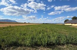 Teren intravilan, Puz aprobat parcele intre 500 - 700 mp