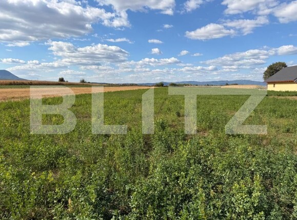 Teren de vânzare Stupini - 143364TV | BLITZ Brașov | Poza4