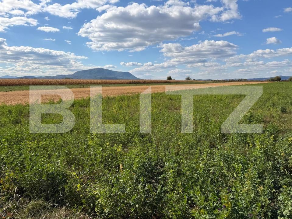 Teren de vânzare Stupini - 143364TV | BLITZ Brașov | Poza3