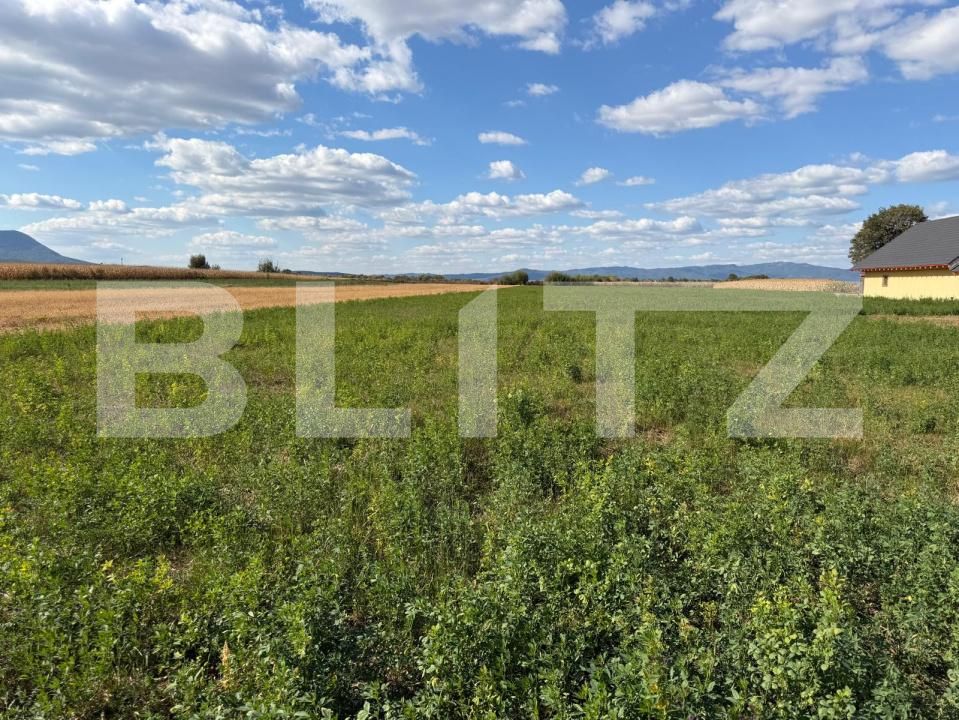 Teren de vânzare Stupini - 143364TV | BLITZ Brașov | Poza4
