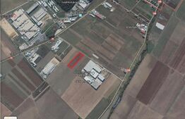 Teren de vanzare 9250 mp
