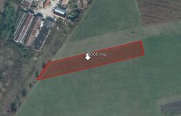 teren de 5000 mp, Stupini