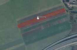 Teren de 5000 mp, Stupini