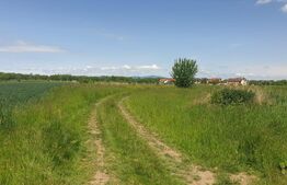 Parcele de teren cu PUZ in lucru in Stupini, de la 475 mp, pana la 1187 mp