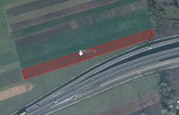 Teren de 5000 mp, Stupini