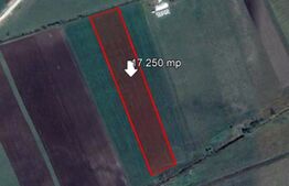 Teren de 17250 mp, Stupini