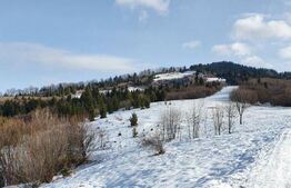 Teren de vanzare, destinatie constructii turistice, Bunloc, 7.300 mp