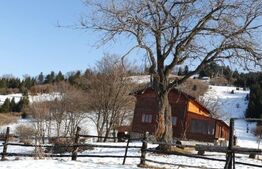 Teren de vanzare, destinatie constructii turistice, Bunloc, 7.300 mp