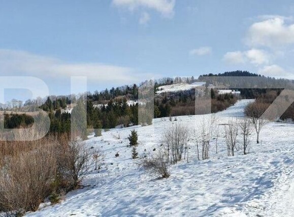 Teren de vânzare Noua - 143376TV | BLITZ Brașov | Poza5