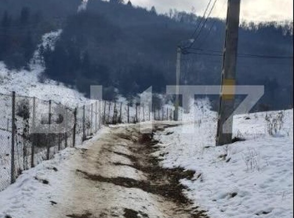 Teren de vânzare Noua - 143376TV | BLITZ Brașov | Poza6