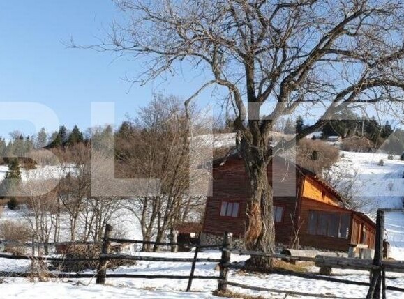 Teren de vânzare Noua - 143376TV | BLITZ Brașov | Poza3