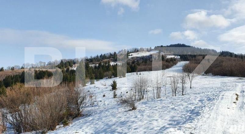 Teren de vânzare Noua - 143376TV | BLITZ Brașov | Poza5