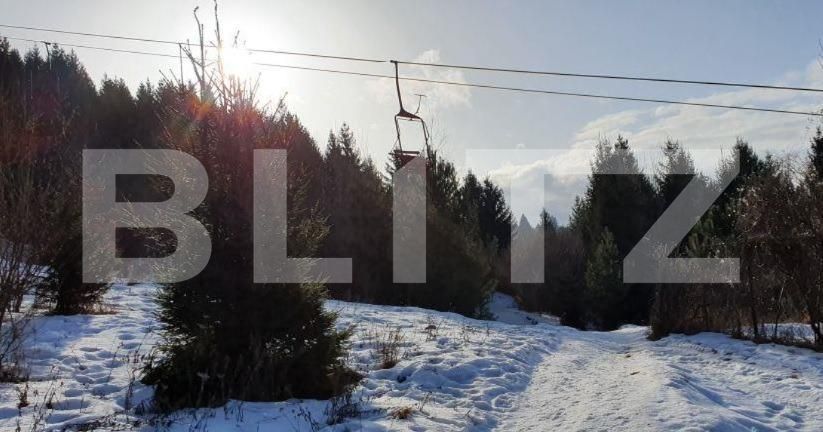 Teren de vânzare Noua - 143376TV | BLITZ Brașov | Poza2