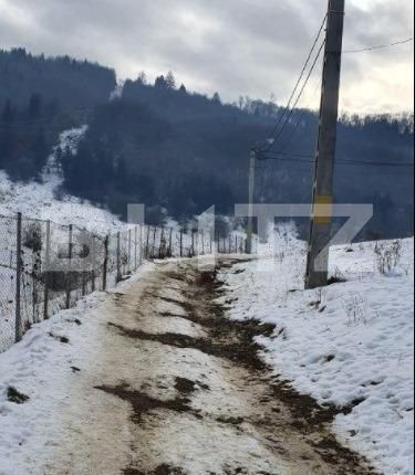 Teren de vânzare Noua - 143376TV | BLITZ Brașov | Poza6