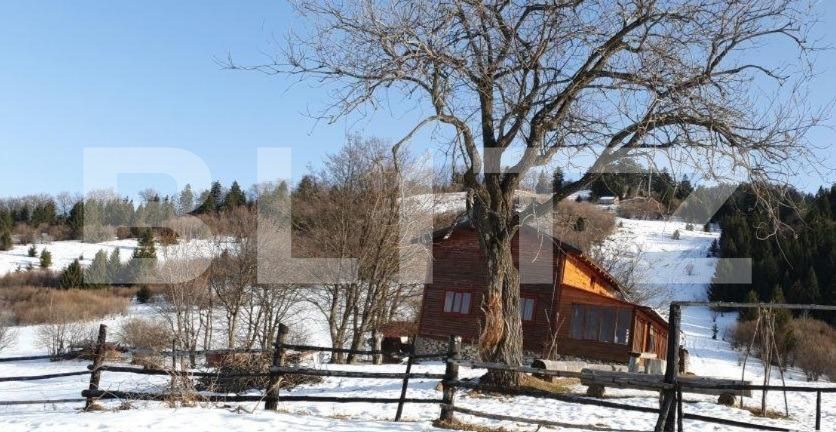 Teren de vânzare Noua - 143376TV | BLITZ Brașov | Poza3