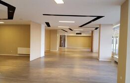 Spatiu comercial/showroom, 660 mp, depozit 240 mp, zona Observatorului