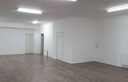 Spatiu comercial/showroom, 660 mp, depozit 240 mp, zona Observatorului