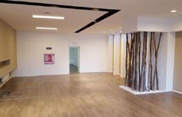 Spatiu comercial/showroom, 660 mp, depozit 240 mp, zona Observatorului