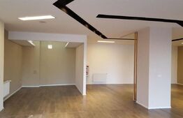 Spatiu comercial/showroom, 660 mp, depozit 240 mp, zona Observatorului