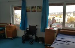 Casa 8 camere, 300 mp utili, 500 mp teren, Grigorescu