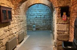 Apartament cu 8 camere, 315 mp, pentru clinica, birou sau local, ultracentral!