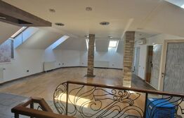 Casa cu 8 camere, 315 mp utili, pentru clinica, birou sau local, ultracentral!
