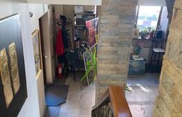Casa cu 8 camere, 315 mp utili, pentru clinica, birou sau local, ultracentral!