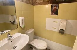 Casa cu 8 camere, 315 mp utili, pentru clinica, birou sau local, ultracentral!