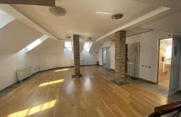 Casa cu 8 camere, 315 mp utili, pentru clinica, birou sau local, ultracentral!