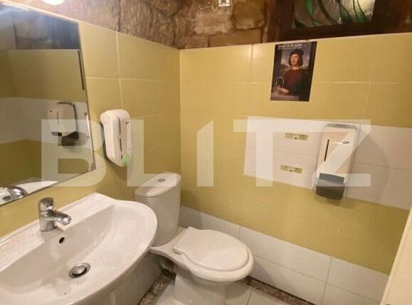 Casa de vânzare 8 camere Central - 143400CV | BLITZ Cluj-Napoca | Poza10