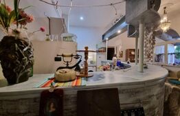 Oportunitate! Casa 300 mp utili, 1000 mp teren, zona Gruia