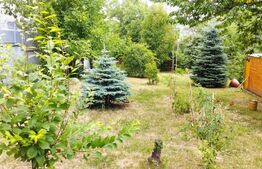 Oportunitate! Casa 300 mp utili, 1000 mp teren, zona Gruia