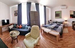 Oportunitate! Casa 300 mp utili, 1000 mp teren, zona Sapte Strazi!