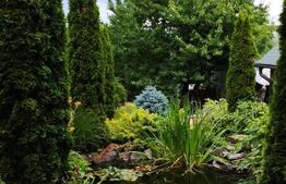 Oportunitate! Casa 300 mp utili, 1000 mp teren, zona Gruia