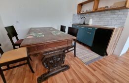 Oportunitate! Casa 300 mp utili, 1000 mp teren, zona Sapte Strazi!