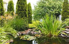 Oportunitate! Casa 300 mp utili, 1000 mp teren, zona Sapte Strazi!