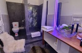 Oportunitate! Casa 300 mp utili, 1000 mp teren, zona Sapte Strazi!