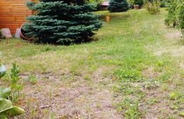 Oportunitate! Casa 300 mp utili, 1000 mp teren, zona Sapte Strazi!