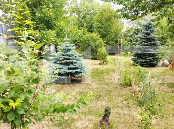 Casa de vânzare 5 camere Gruia - 143406CV | BLITZ Cluj-Napoca | Poza11