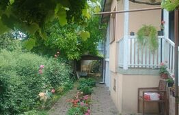 Casa individuala, 556 mp teren, Andrei Muresanu!