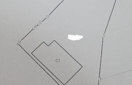 Casa individuala, 556 mp teren, Andrei Muresanu!