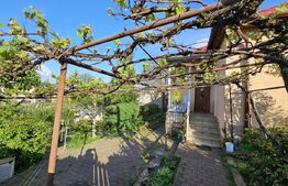 Casa individuala, 556 mp teren, Andrei Muresanu!