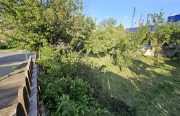 Casa individuala, 556 mp teren, Andrei Muresanu!