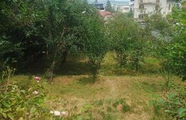 Casa individuala, 556 mp teren, Andrei Muresanu!