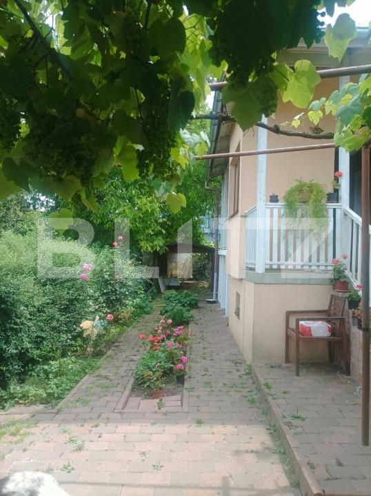 Casa de vânzare 2 camere Andrei Mureşanu - 143409CV | BLITZ Cluj-Napoca | Poza6