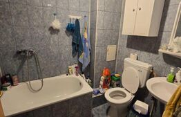 Garsoniera, 19mp, in Gruia, zona strazii Migdalului