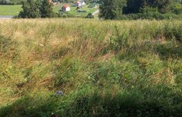 OCAZIE !!! Blitz ofera spre vanzare teren intravilan Gilau, 5400 mp, front 30 ml