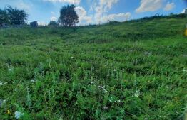 Teren de vanzare 2 parcele, 1264mp, zona Sopor