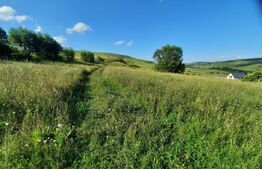 Teren de vanzare 2 parcele, 1264mp, zona Sopor