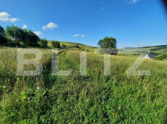 Teren de vânzare Borhanci - 143470TV | BLITZ Cluj-Napoca | Poza1